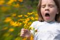 Buy Generic Allergy Medication Online at Discount Prices - Mexico Pharmacy
