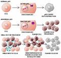 Buy Cancer Medication Online - Mexico Pharmacy