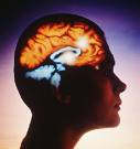 Buy Mental Disorders Medication Online - Mexico Pharmacy